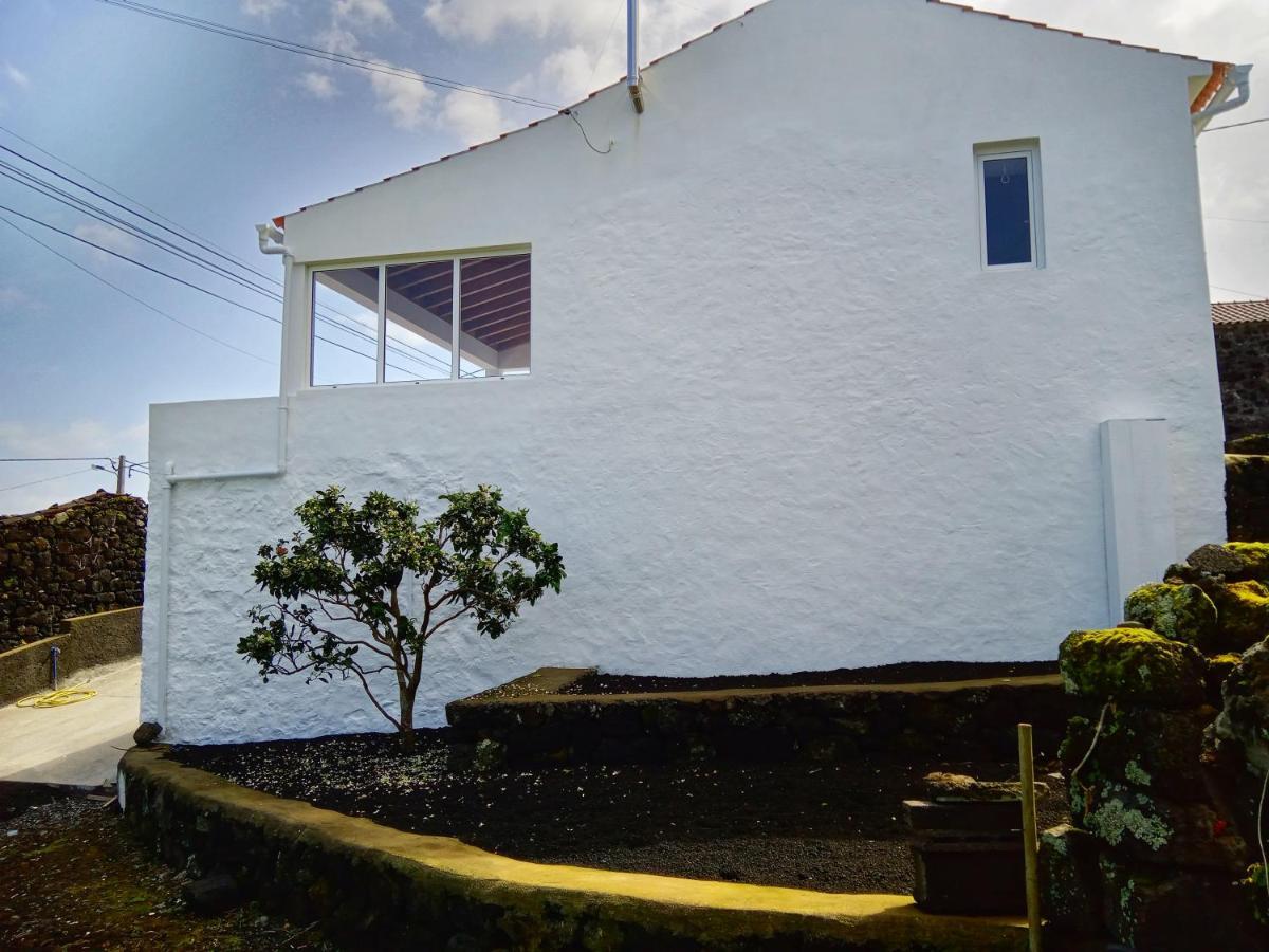 Vila Casa Do Marcelino Lagarto São Roque do Pico Exteriér fotografie
