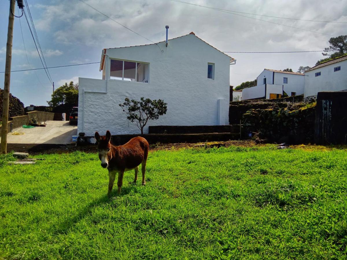 Vila Casa Do Marcelino Lagarto São Roque do Pico Exteriér fotografie