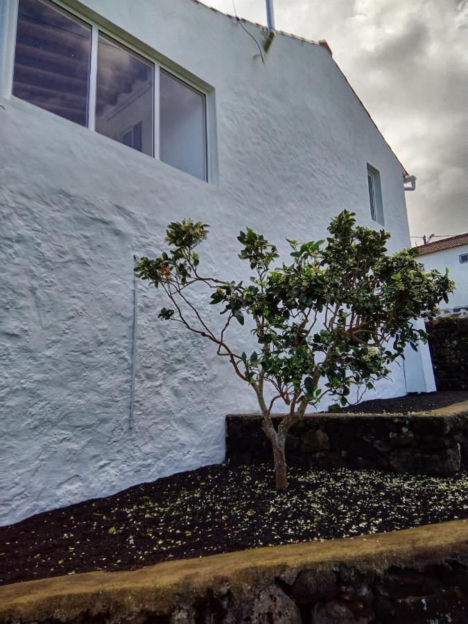Vila Casa Do Marcelino Lagarto São Roque do Pico Exteriér fotografie
