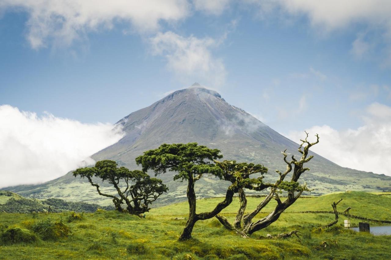 Vila Casa Do Marcelino Lagarto São Roque do Pico Exteriér fotografie
