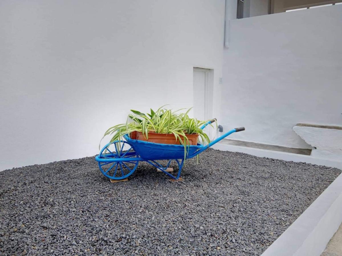 Vila Casa Do Marcelino Lagarto São Roque do Pico Exteriér fotografie